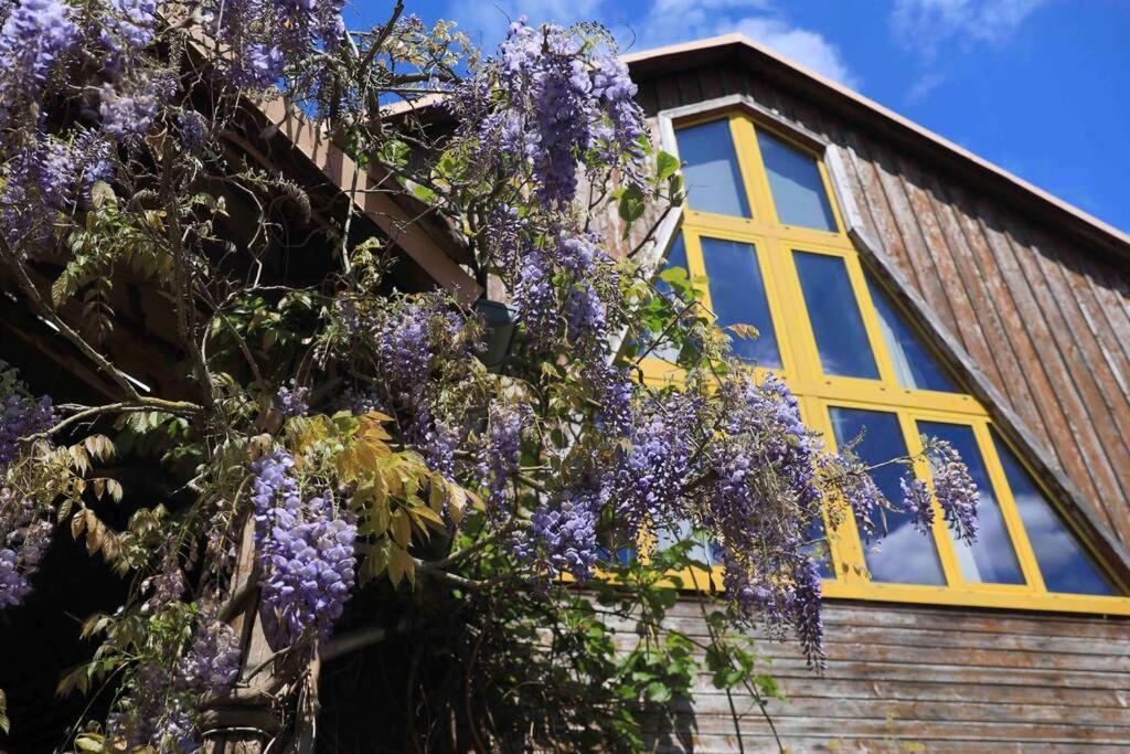 La Grange De Jeannette Appartement Burnhaupt-le-Haut Buitenkant foto